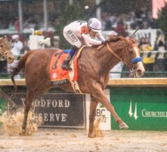 Preakness Stakes Preview: Justify Looks for Second Jewel of Triple Crown