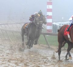 2018 Preakness Recap: Trip Notes and Analysis