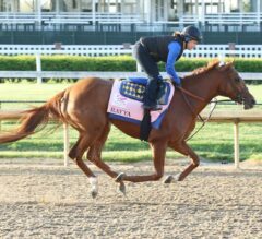 Kentucky Oaks: Three Horses to Outrun Odds