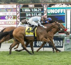 Sophie P Upsets in G1 Gamely