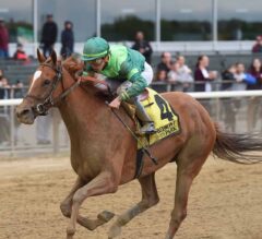 Pacific Wind Earns First Stakes Score in G2 Ruffian