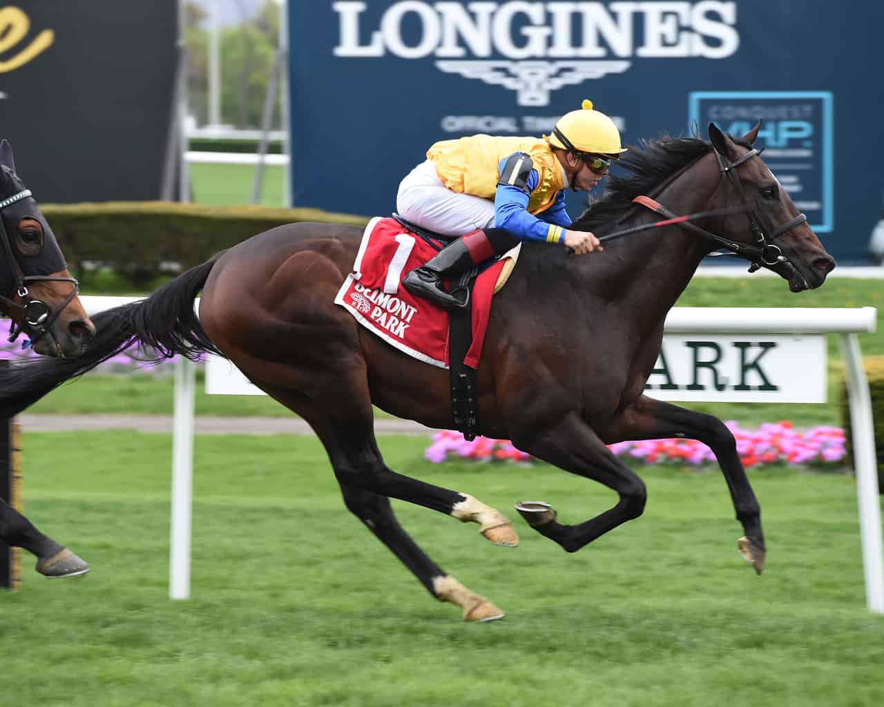 Robart Bruce Racing Robert Bruce Remains Unbeaten in G3 Fort Marcy
