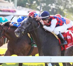 Funtastic Flummoxes Foes in G1 United Nations