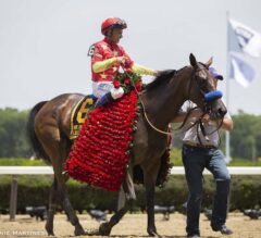 Personal Ensign Preview: Abel Tasman and Elate Set for Showdown at Saratoga