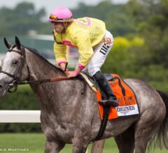A Raving Beauty Clinches Top Honors in G1 Just a Game