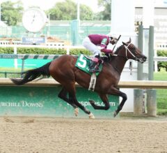 Iroquois Stakes Preview: The Road to the Kentucky Derby Begins