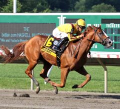 Travers Stakes Preview: Good Magic Aims for Elusive Haskell/Travers Double