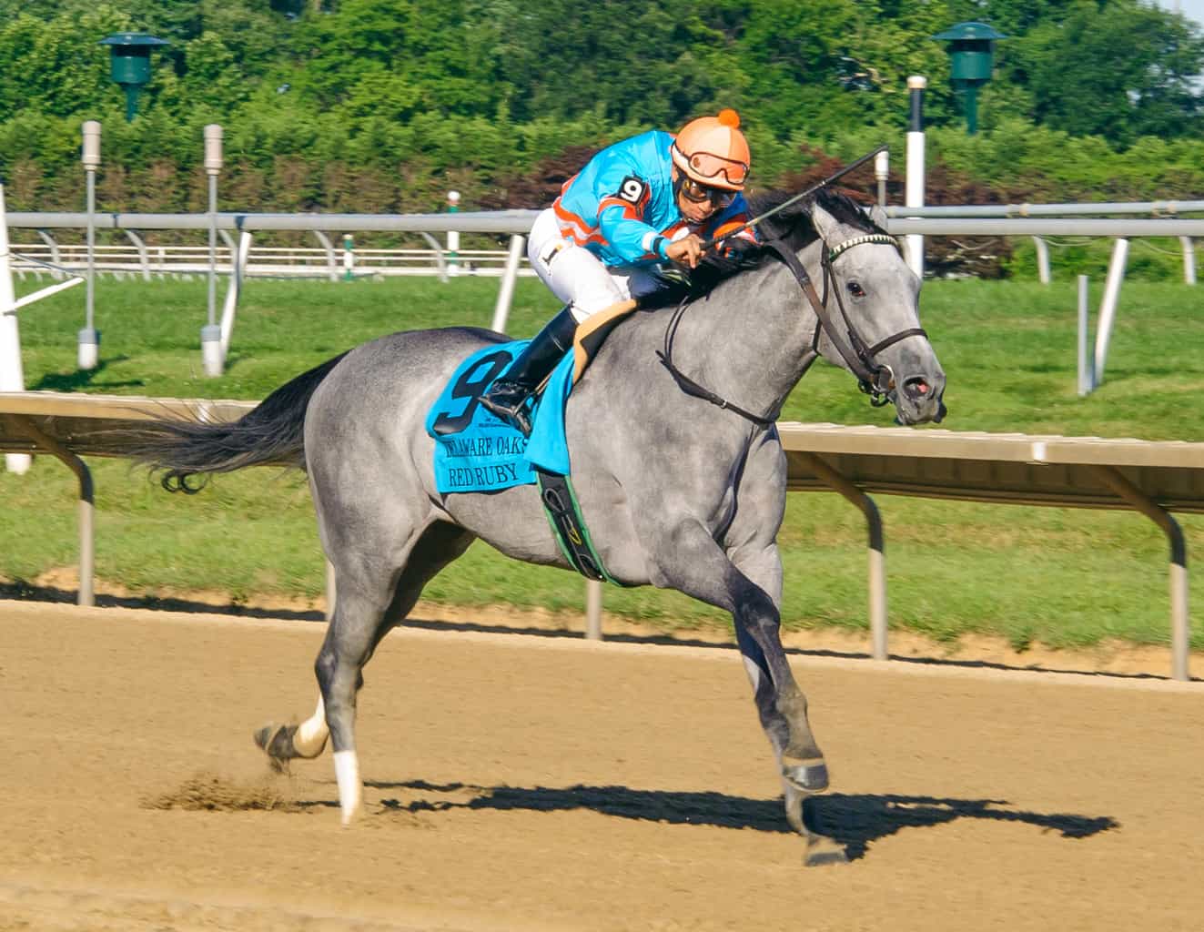 Red Ruby Romps in the G3 Delaware Oaks - Racing Dudes