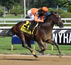 Vosburgh Stakes Preview: Single Imperial Hint