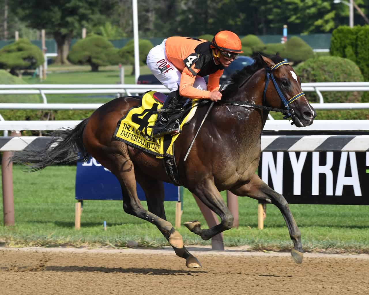 Vosburgh Stakes Preview Single Imperial Hint