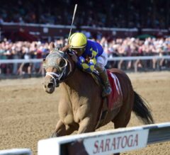 Hopeful Stakes Preview: Sombeyay Faces Tough Test