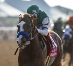2018 Breeders’ Cup Predictions #1: First Set of Predictions Ready to Roll