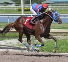 Woodward Stakes Preview: A Handicapper’s Nightmare