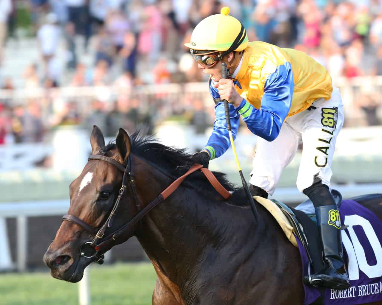 Robart Bruce Racing Joe Hirsch Turf Classic Preview: Robert Bruce Stretches Out