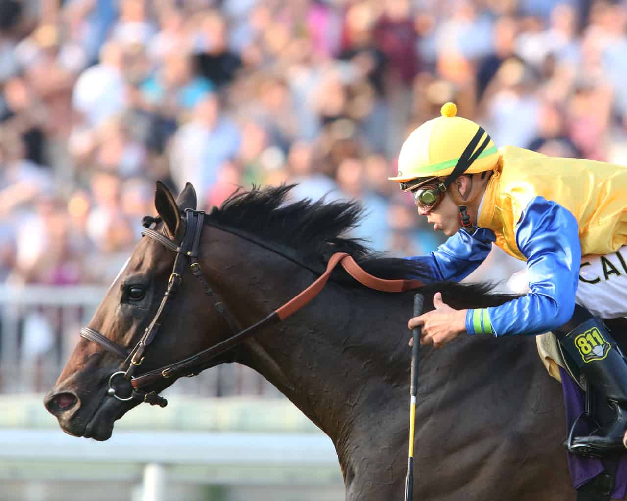 Robart Bruce Racing Robert Bruce Nails G1 Arlington Million