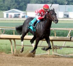 Pocahontas Stakes Preview: Serengeti Empress Comes in Hot