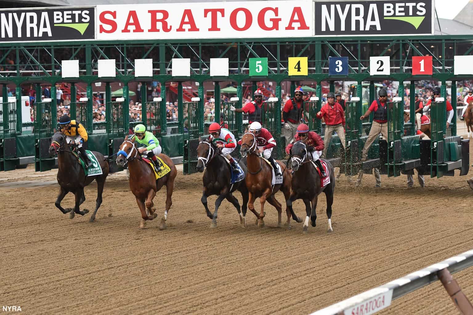 Woodward Stakes Contenders, Picks and Results