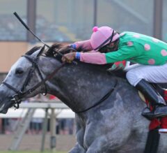 Pure Sensation Repeats in G3 Turf Monster