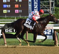 Jerome Stakes Preview: First Kentucky Derby Prep of 2019
