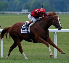 Proforma Rallies Late in G3 KY Downs Turf Sprint
