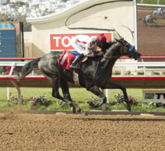 Del Mar Futurity Preview: Roadster Ready for First Grade 1 Race
