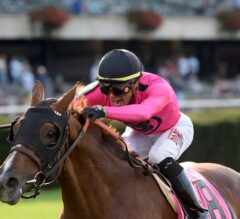 2023 Sword Dancer Stakes Preview & FREE Picks | Channel Maker Among 7 In Saratoga BC Turf Prep Test