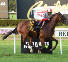 Breeders’ Cup 2018: Searching for Singles
