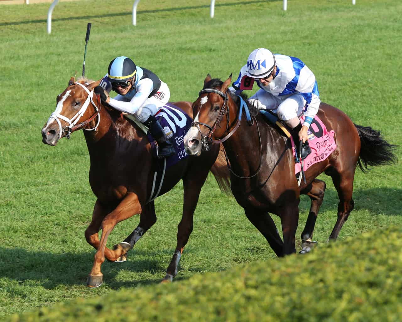 Current Prevails Over Henley's Joy in G3 Bourbon