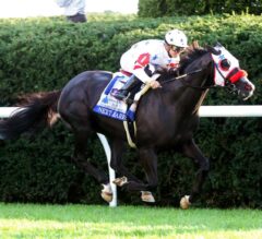 Overdrawn Field Looks to Punch Breeders’ Cup Ticket in Shadwell Turf Mile