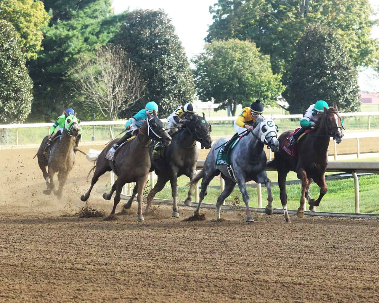 Somo Bombs Keeneland Picks for October 4, 2019