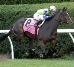 Rushing Fall Returns in Ultra-Tough First Lady Stakes