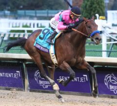 ‘All Others’ Favorite in 2019 Kentucky Derby Future Wager Pool 1