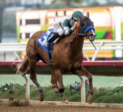 Mucho Gusto Prevails in G3 Bob Hope
