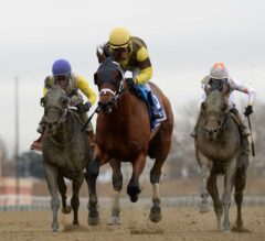 Plainsman Powerful in G3 Discovery