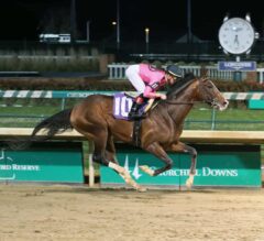 LeComte Stakes Preview: Full Field at Fair Grounds