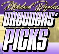 Michael Beychok’s Breeders’ Cup Wagering Guide Released