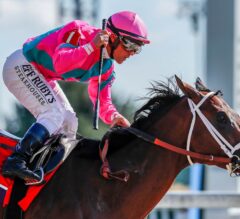 City of Light Crackles In Dirt Mile
