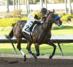 Soi Phet Preview: Galilean Stretches Back Out