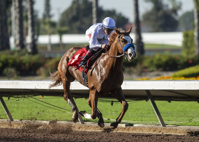 Racing Dudes 2019 Top 20 Kentucky Derby Rankings #6