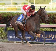 Top 5 Pegasus World Cup 2019 Contenders to Know