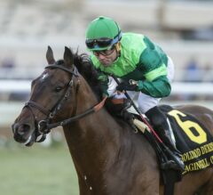 Raging Bull Perfectly Times G1 Hollywood Derby Score