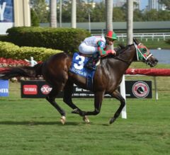 Vision Perfect Ends Year Strong in $100,000 Janus