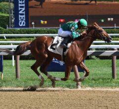 FREE Win Picks for Mucho Macho Man Stakes Day at Gulfstream Park