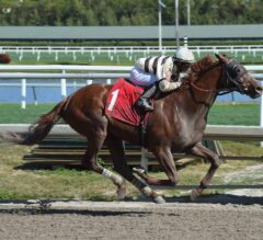Country House Likely to Kentucky Derby Prep Next