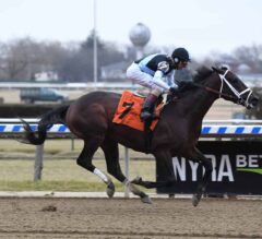 Withers Stakes Preview: Moretti Ready for Next Step
