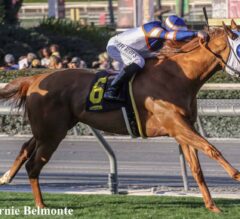 S Y Sky Scores in $150,000 Sunshine Millions Filly & Mare Turf Sprint