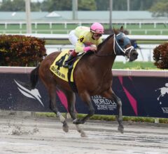 Rain No Trouble for World of Trouble in $150,000 Gulfstream Park Turf Sprint