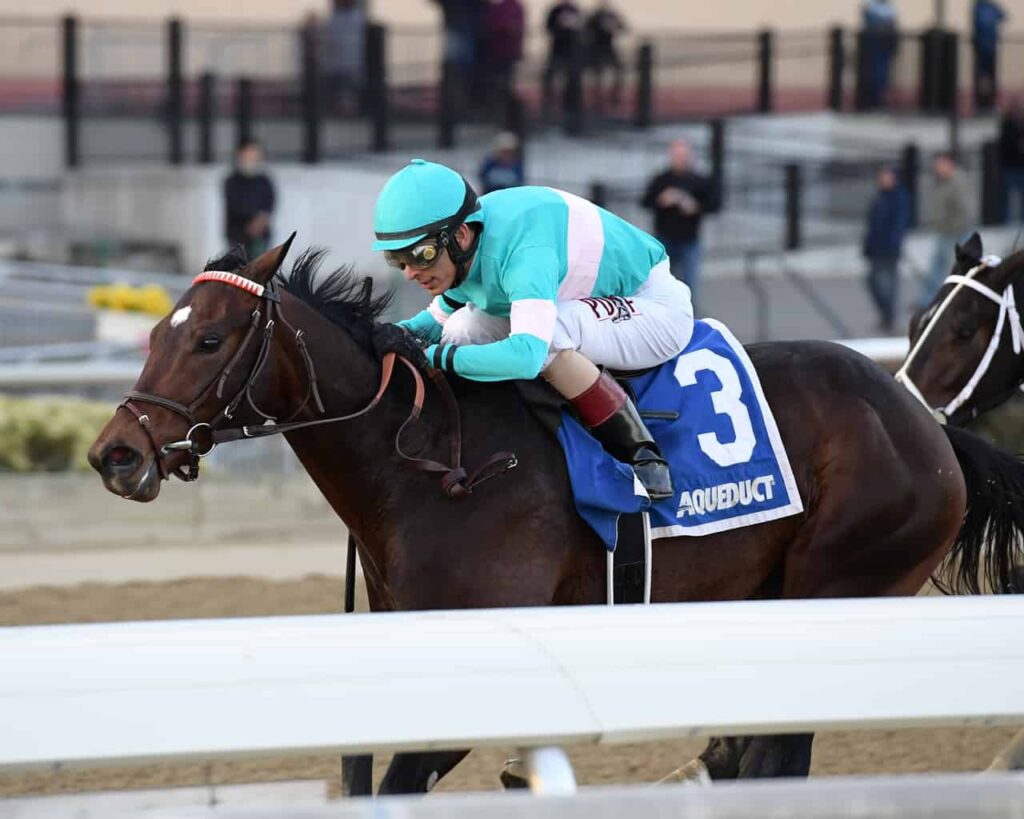 Kentucky Derby Trail Tracker: Gotham a Play-In Race for Sprinters