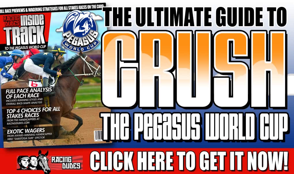 2019 Pegasus World Cup Picks and Wagering Guide from Gulfstream Park