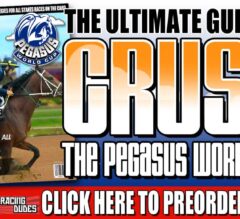 2019 Pegasus World Cup Guide to Picking Winners